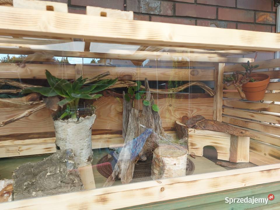 Duże piękne terrarium żółwia lądowegojeża Terrarystyka Opole