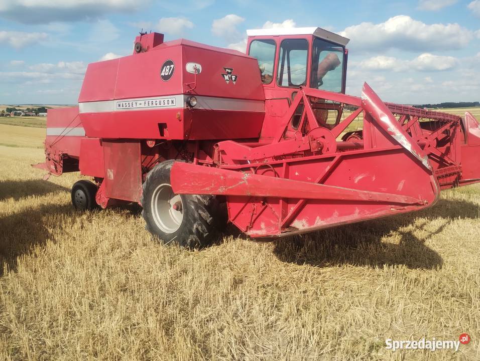 Kombajn zbożowy Massey Ferguson 487 lubelskie