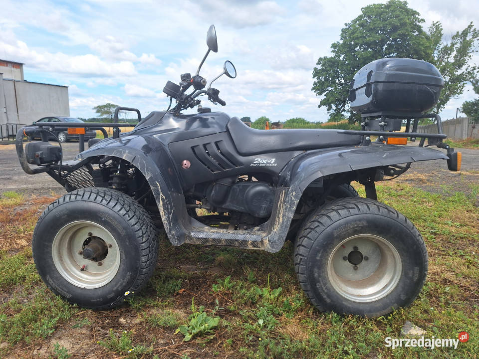 Quad Linhai napęd 2x4 Motoryzacja wielkopolskie Pleszew
