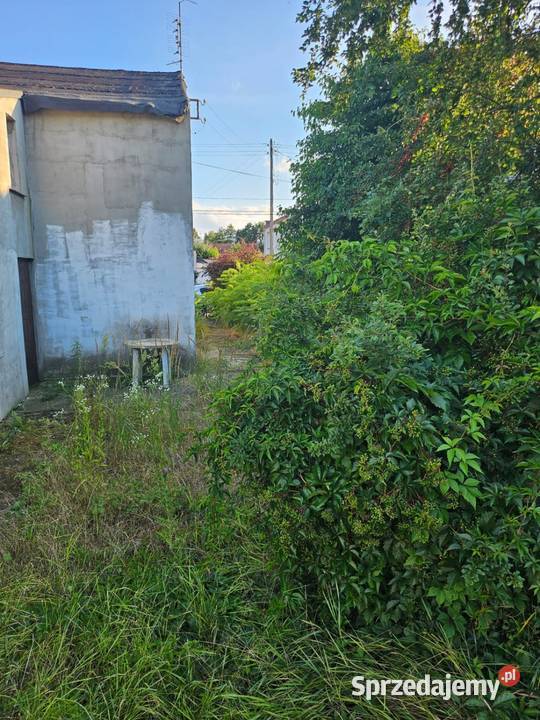 Sprzedam udzial 1300zł/m2 Sprzedaż Wrocław