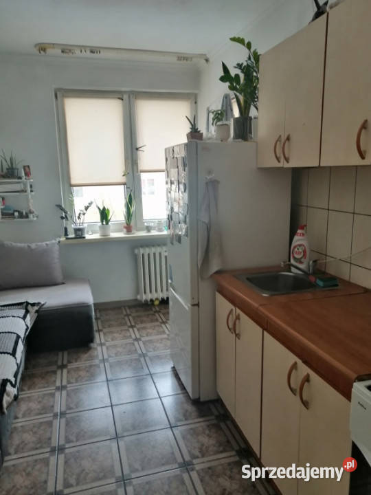 Mieszkanie na wynajem dostępne marca 26m2 Puławy sprzedam