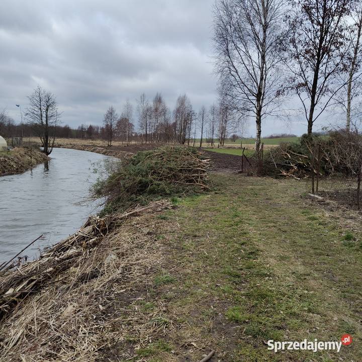 Sprzedam dom 73m kw z działką 1000m kw Sprzedaż Wilkiejmy