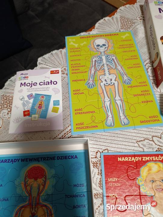 moje ciało gra edukacyjna mały odkrywca