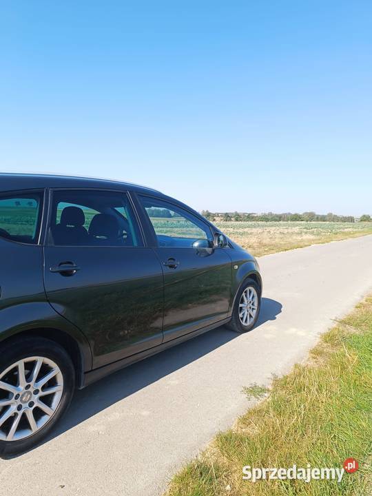 Seta Altea xl Altea XL Pińczów