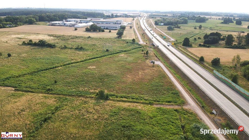Ogłoszenie grunt Piotrków Trybunalski 8924m2 Sprzedaż