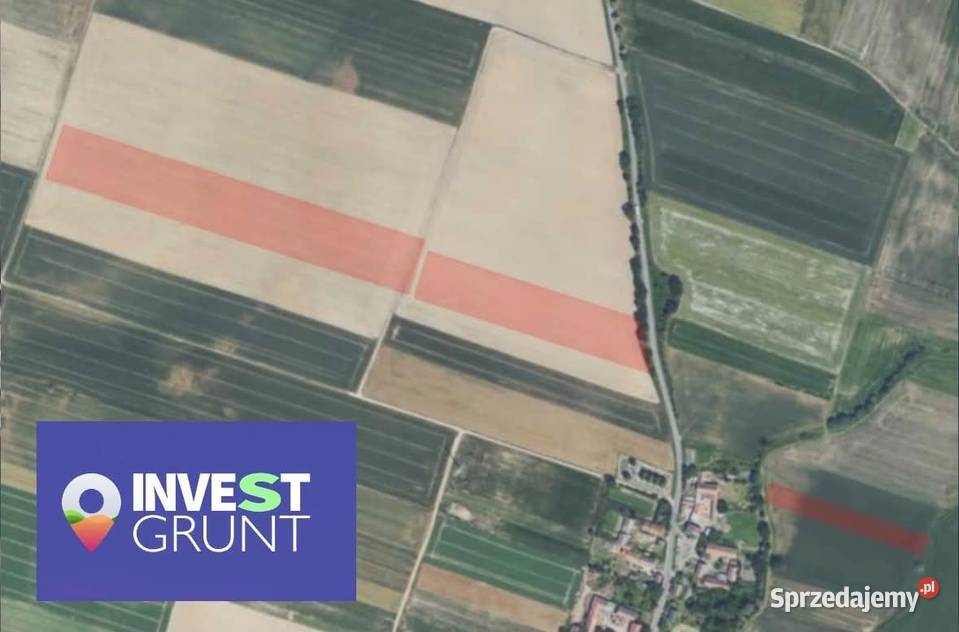 Sprzedaż gruntu rolnego 11603 ha Strzelin