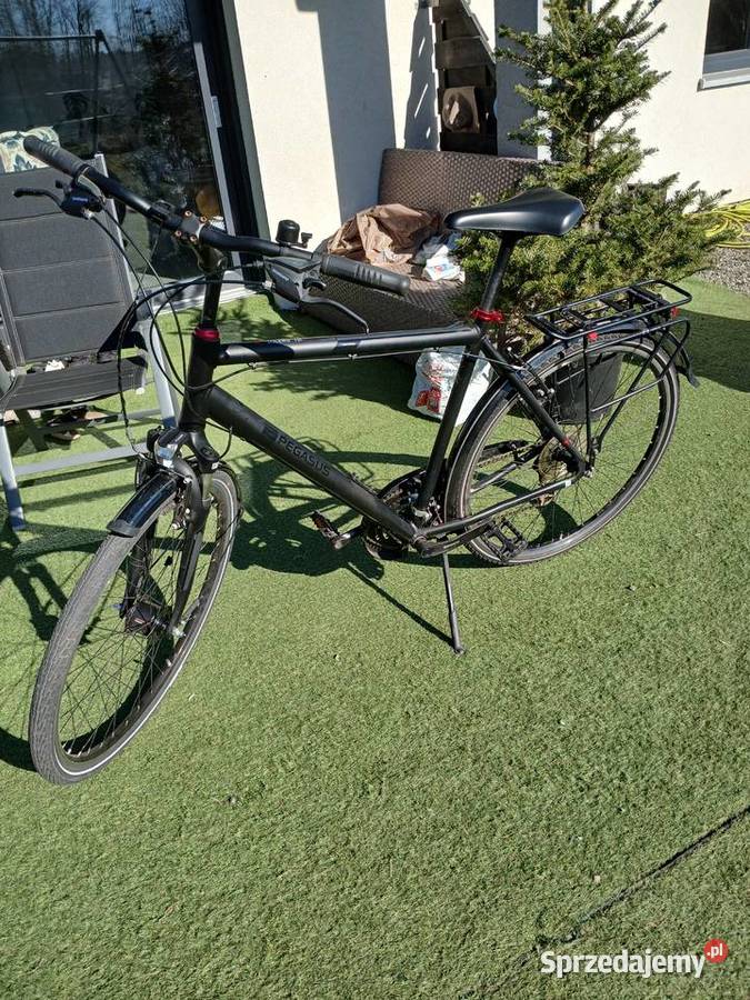 Rower męski uniwersalny 29 Solero Pegasus Żory