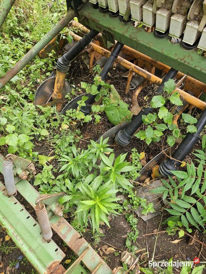 Amazone d730E talerzowy nieuszkodzony Siewniki i sadzarki sprzedam
