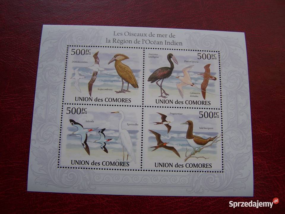 Komory 2010 MNH Fauna Ptaki Oceanu Indyjskiego