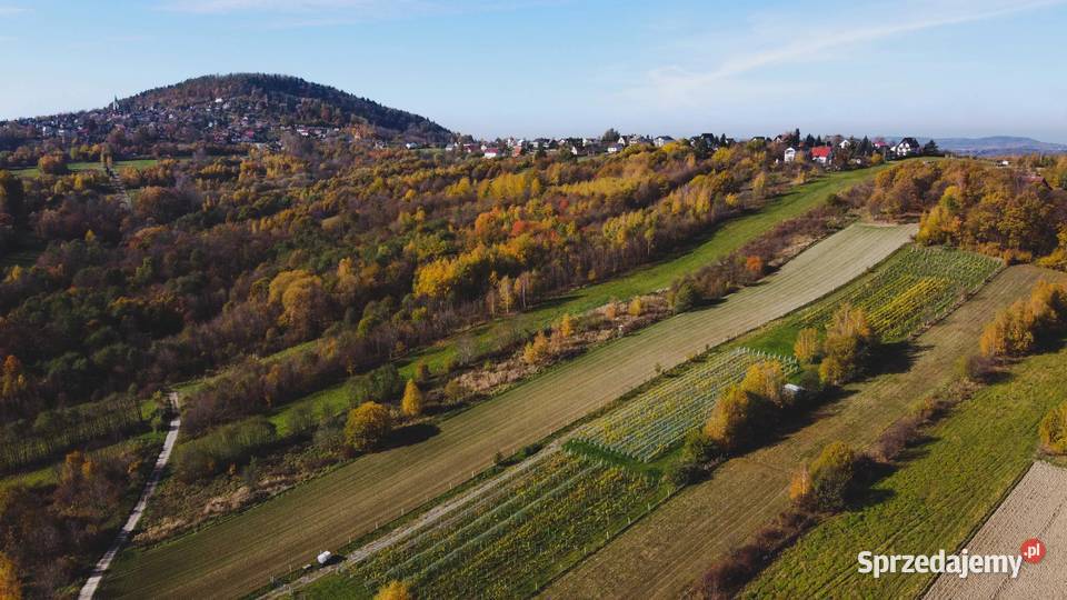 Lanckorona widokowa działka budowlanorolna 93ar 29zł/m2 sprzedam