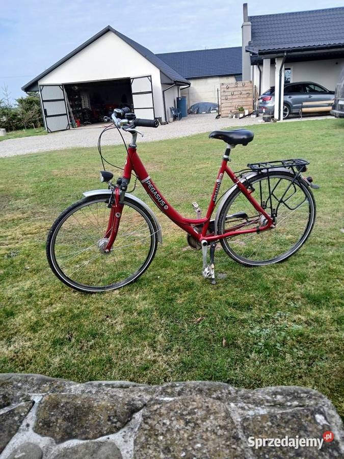 Rower Pegasus świętokrzyskie
