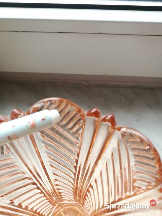 Wazoniki Ząbkowice różowe zachodniopomorskie Choszczno