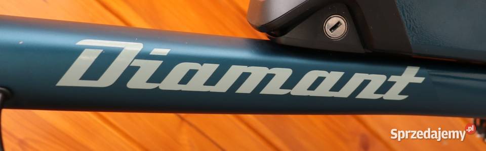 Rower elektryczny Diamant Elan D 50 I inne Milanówek