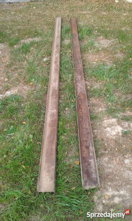 Dwuteowniki długie Lublin