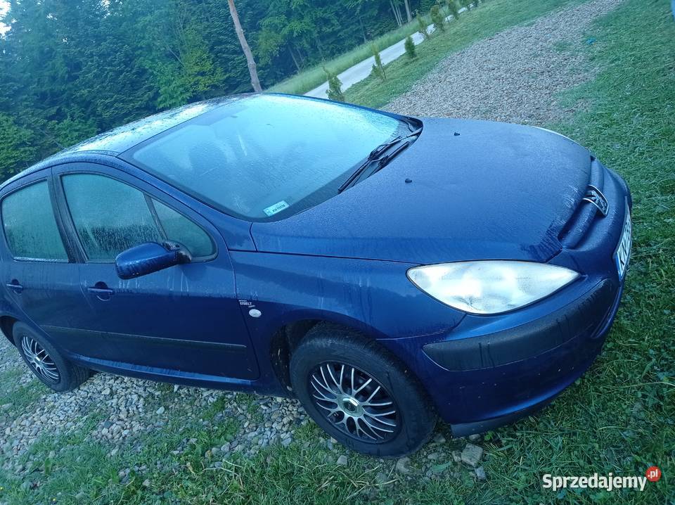 Peugeot 307 niski przebieg 170 lakier metallic Kąclowa sprzedam