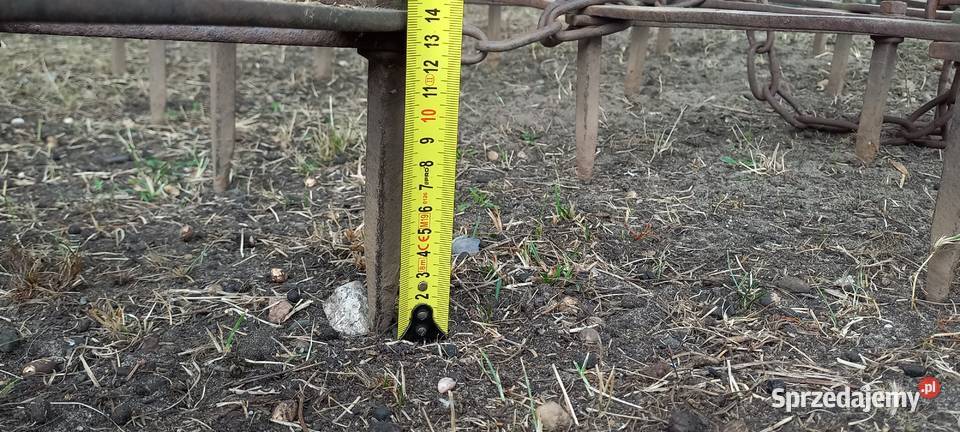 Brony 5 Dankowice-Piaski