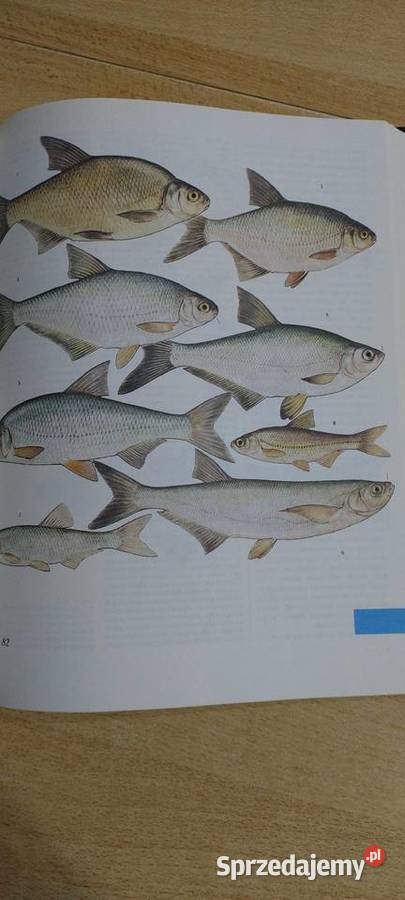 Świat zwierząt Wydanie 3 twarda z obwolutą lubelskie