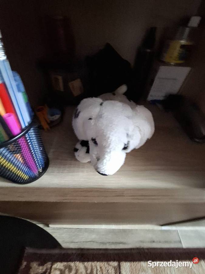 Regał pokojowy Płońsk sprzedam