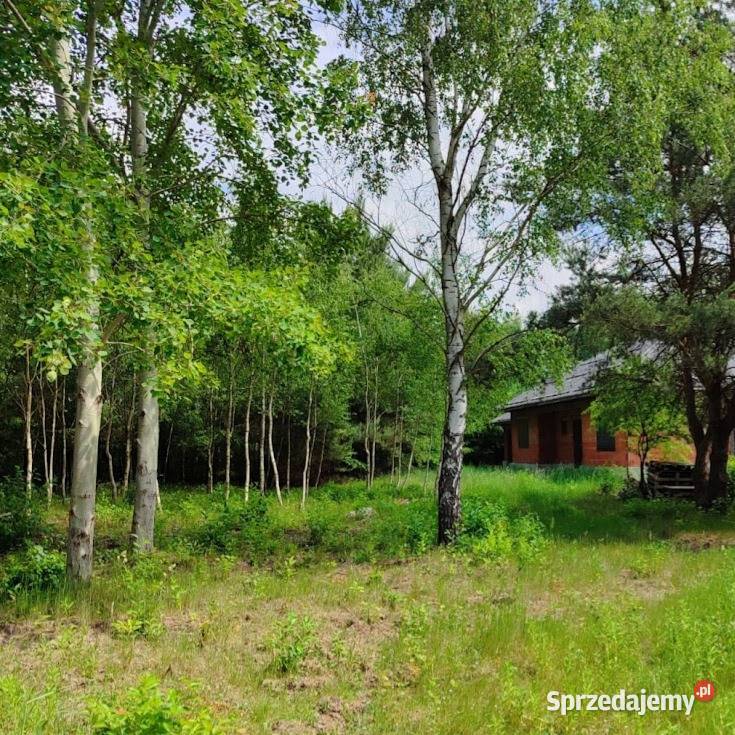 Luksusowa działka Dom w lesie PARK KRAJOBRAZOWY Dobieszków sprzedam