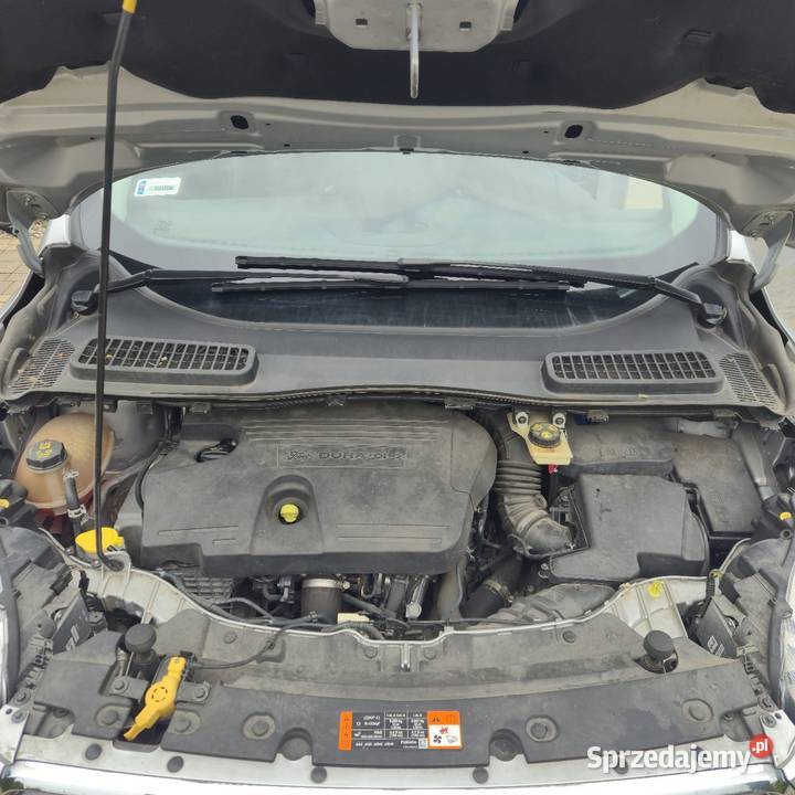 Ford Kuga 20 Diesel światła przeciwmgielne Złoczew