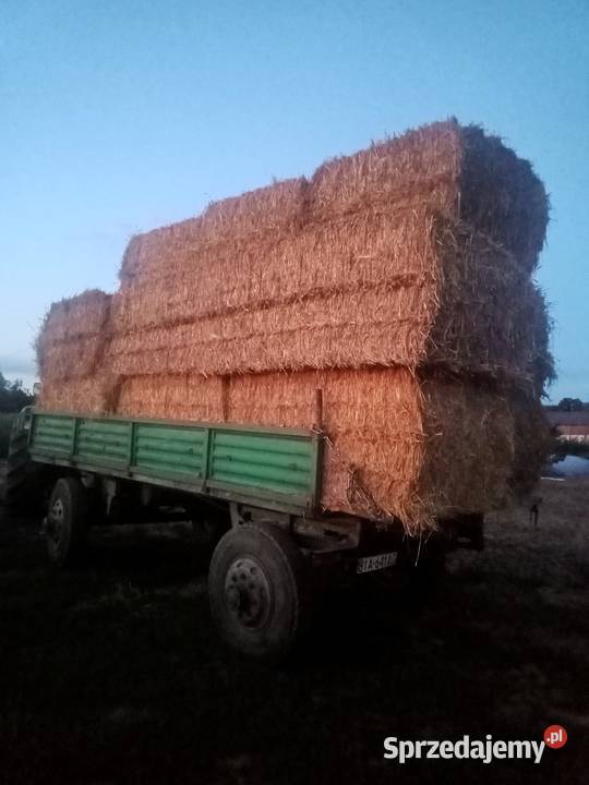 Przyczepa sztywna d 50