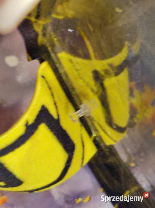 utopia google gogle okulary narciarskie