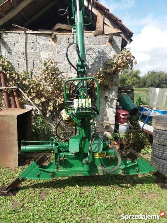 Cyklop Troll Kazimierza Wielka