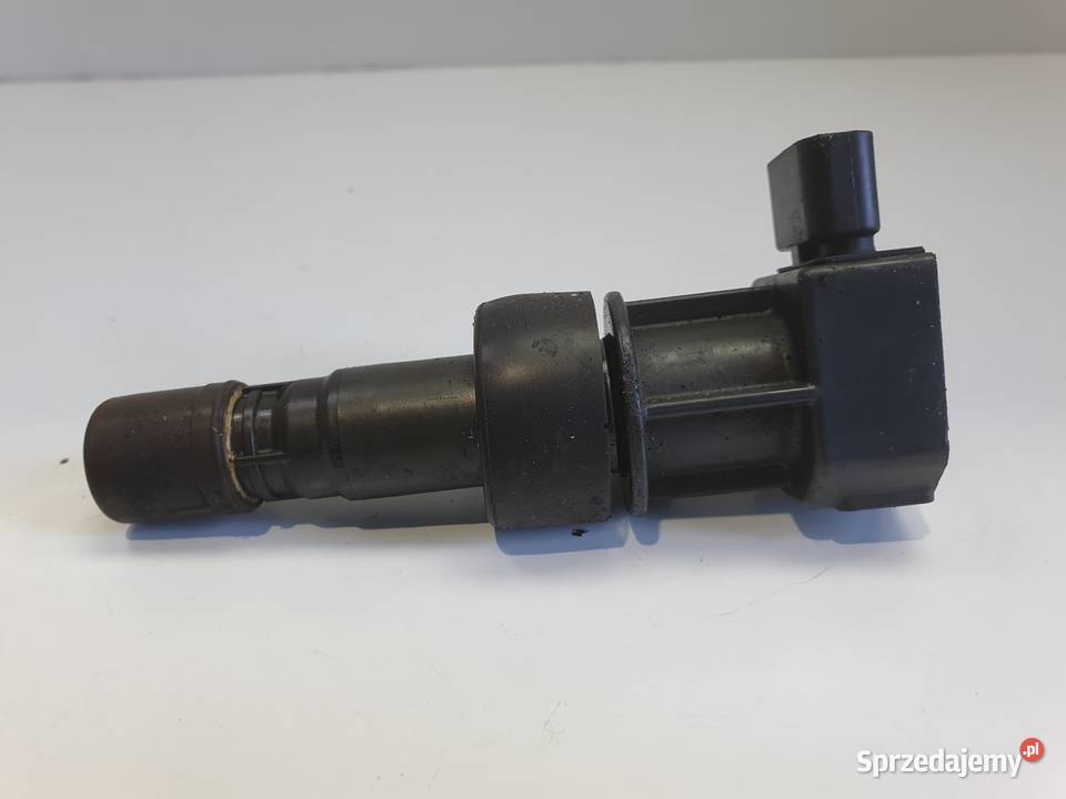 CEWKA ZAPŁONOWA Jaguar SType 30 V6 1X4312029AB Pozostałe Rudka