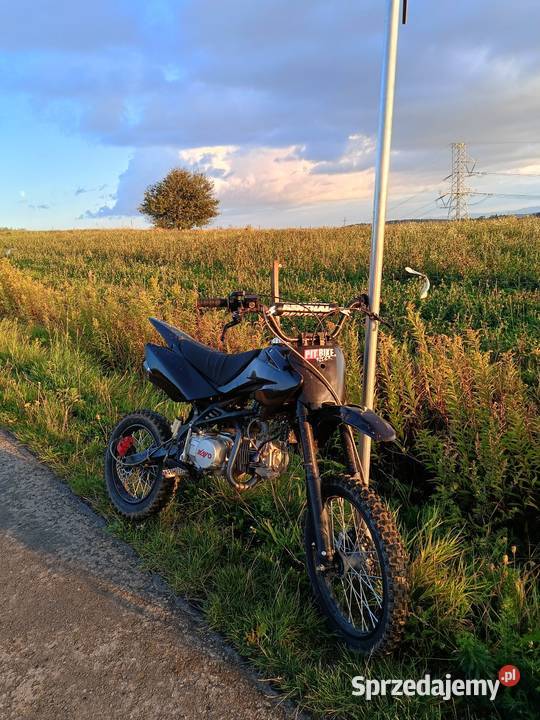 Sprzedam Apollo crz 140 Brzostek sprzedam