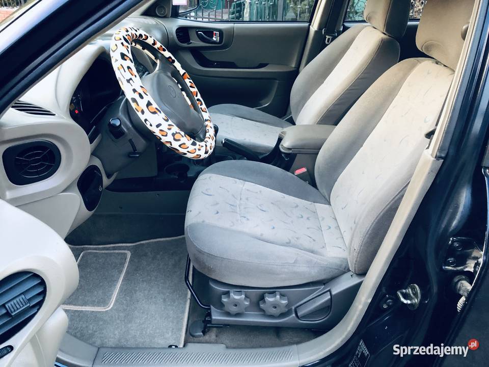 Hyundai Santa Fe 20 16v 136 BLPG 318830km Santa Fe Przeworsk sprzedam
