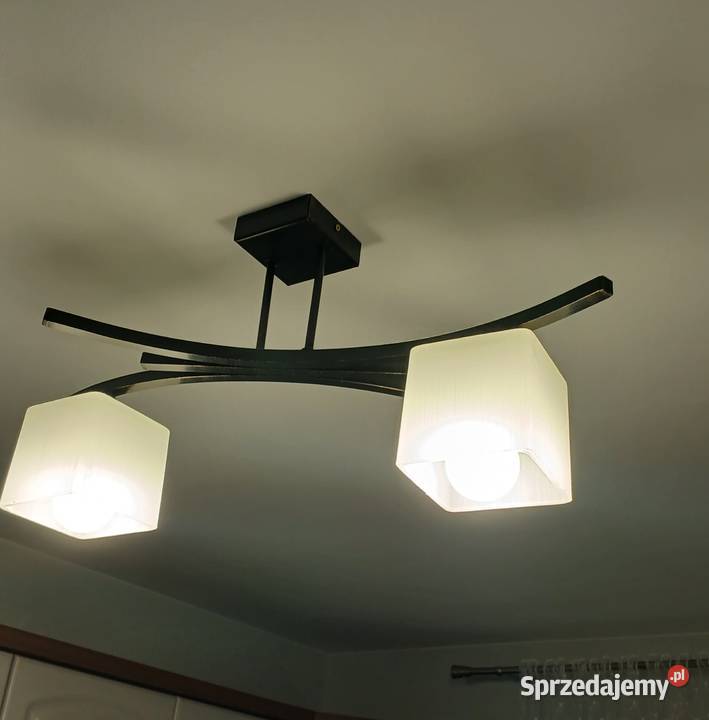 Sprzedam żylandory 2 sztuki Kurzacze