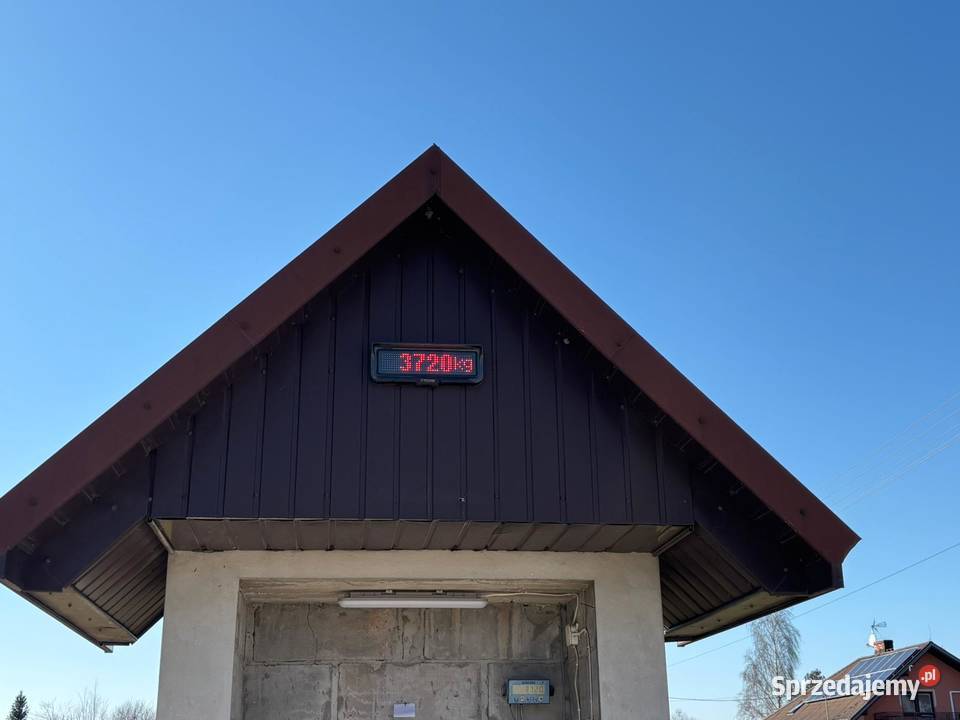 Rozrzutnik Brohard Rozrzutniki obornika Wodzisław