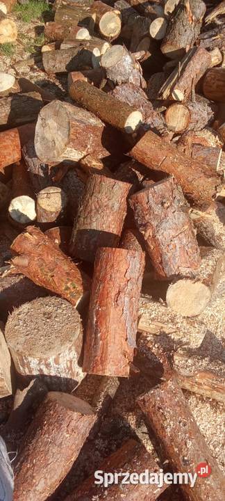 Drewno Opałowe Sosna pomorskie Tychnowy sprzedam