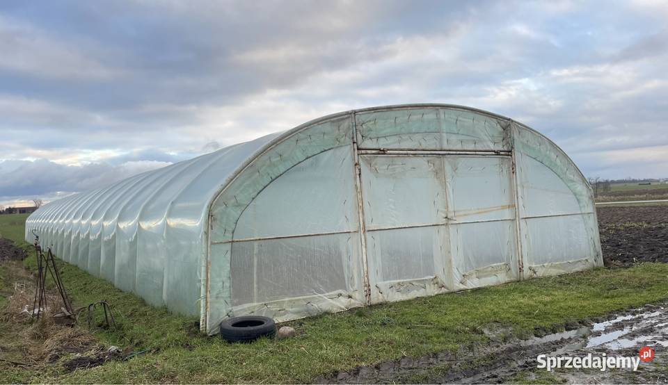 Tunel foliowy 30x7 Kutno