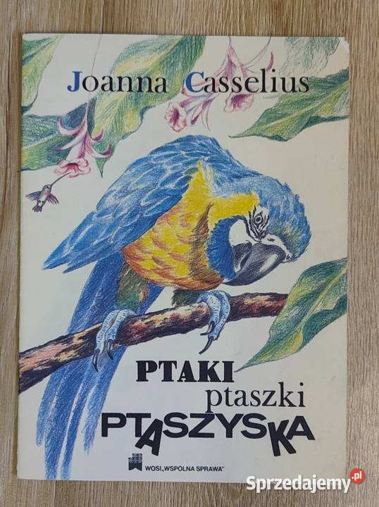 Ptaki ptaszki ptaszyska Joanna Casselius mazowieckie Warszawa