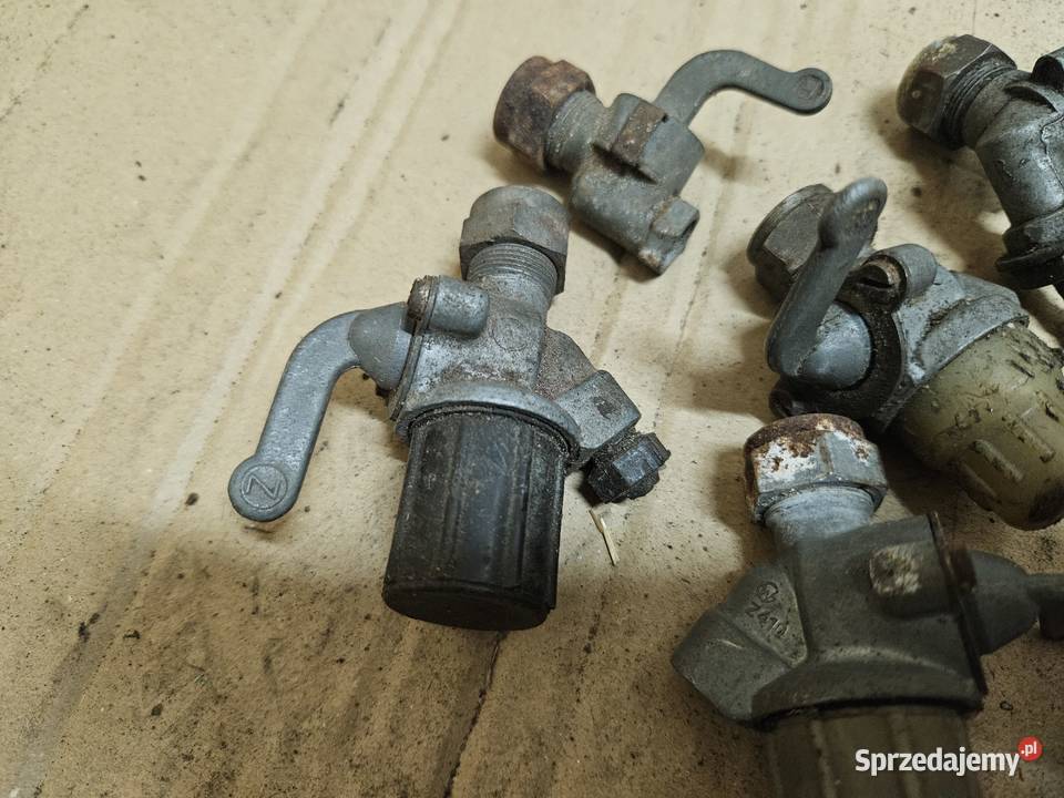 Kraniki Mz Simson wielkopolskie Kłodawa