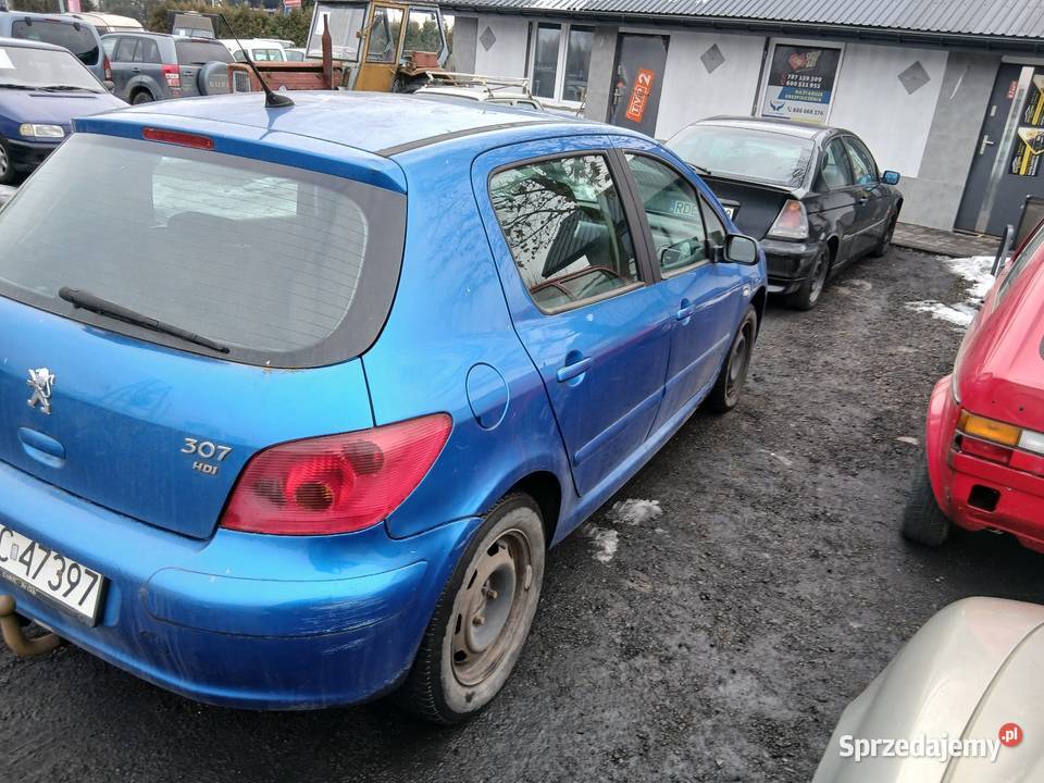 Peugeot 307 20hdi 90 01r Nowy Sącz