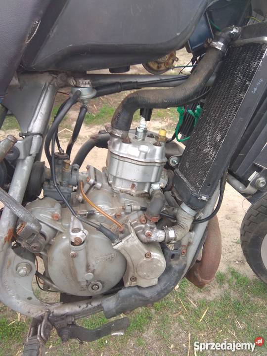 Debi Senda R 99r Latowice