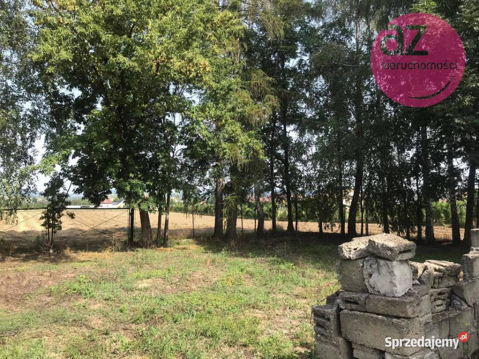 Nieruchomość inwestycyjna w Brzeznej 22 ary Brzezna