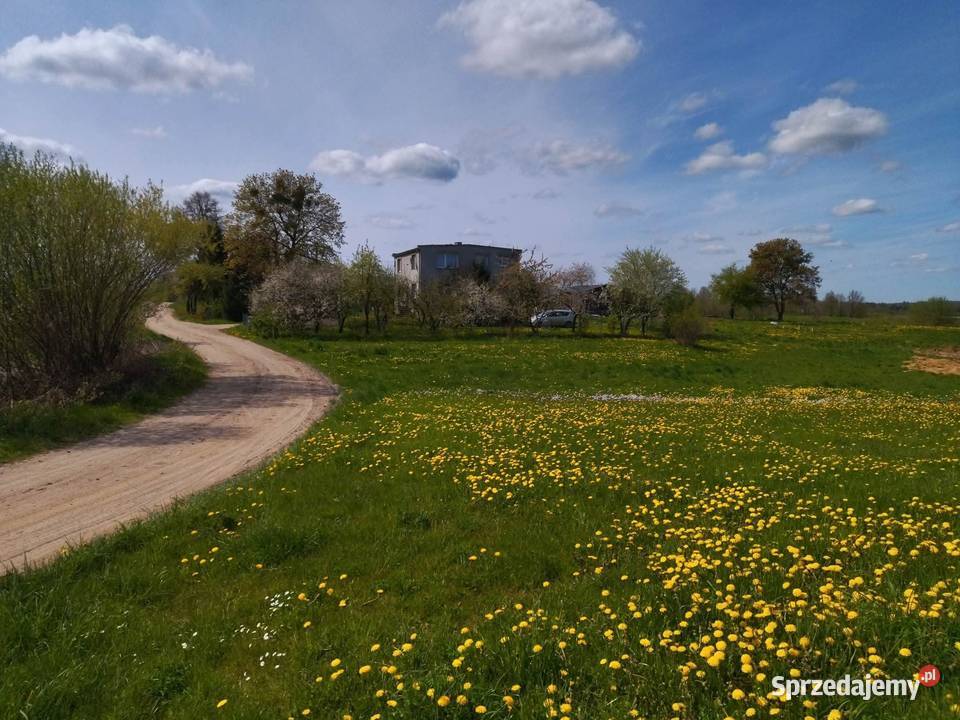 Działka rekreacyjna z możliwością zabudowy Raj