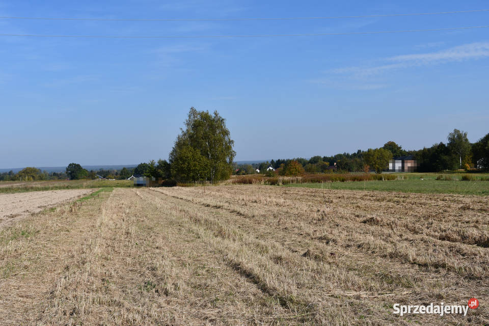 Działka rolna 43a Strażów Sprzedaż