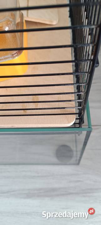 Klatka chomika Poznań sprzedam