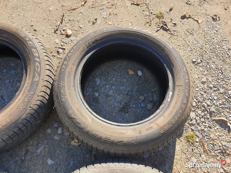 Dębica Navigator 1756514 opony wielosezonowe Samochodowe świętokrzyskie
