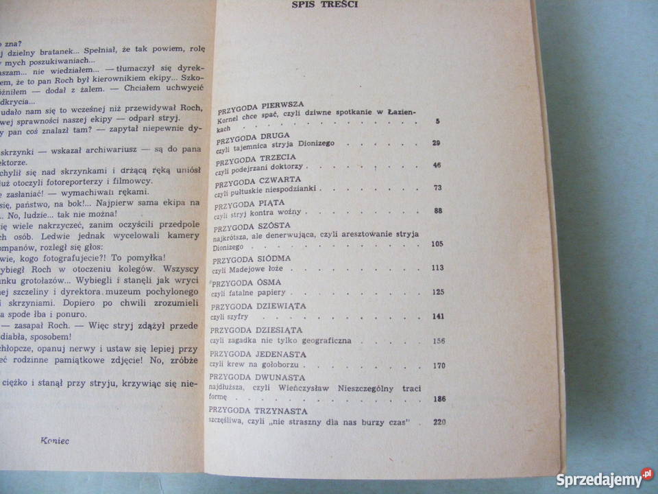 Niziurski Szkolny lud okulary i ja Klub dla dzieci z klas IV-VI (10-12 lat)  Kultura i Rozrywka Oborniki Śląskie