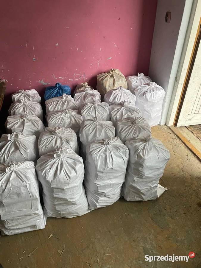 Drewno Na Rozpałkę Drewno Rozpałkowe