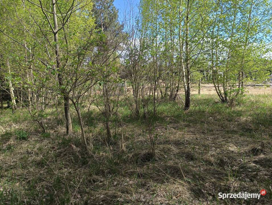 OKAZJA działka budowlana kujawsko-pomorskie Brodnica