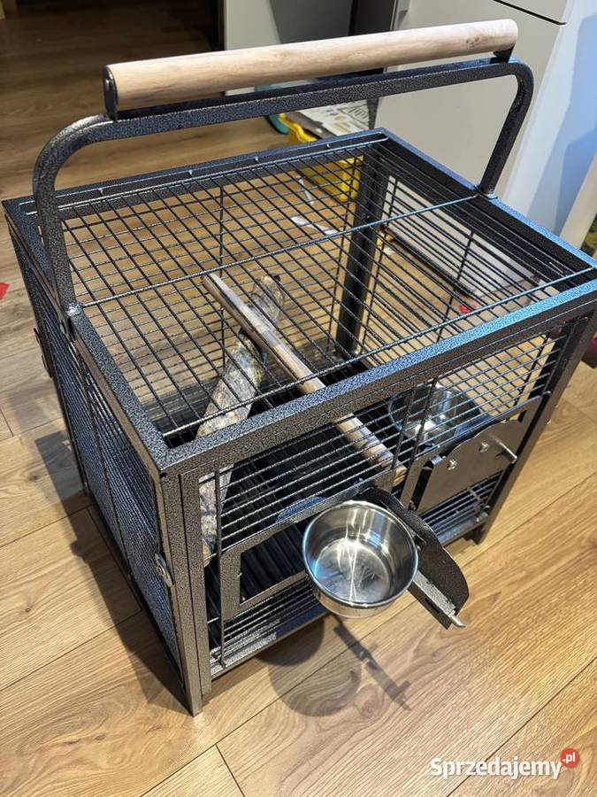 Papużki średnie senegalki Warszawa