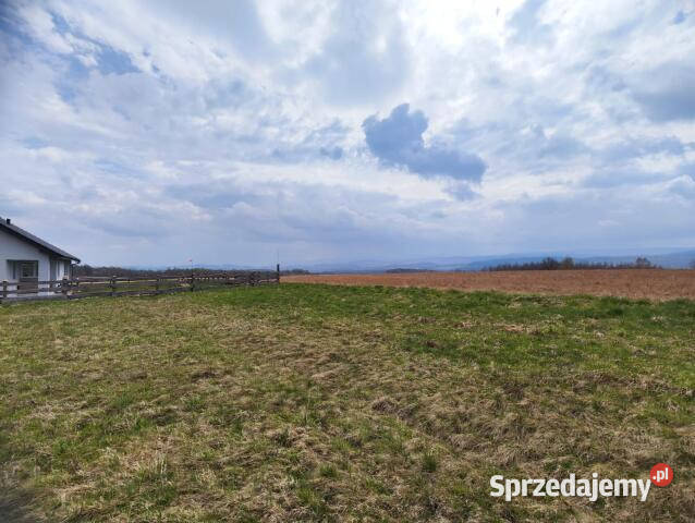 Działka 1592m2 Grudza