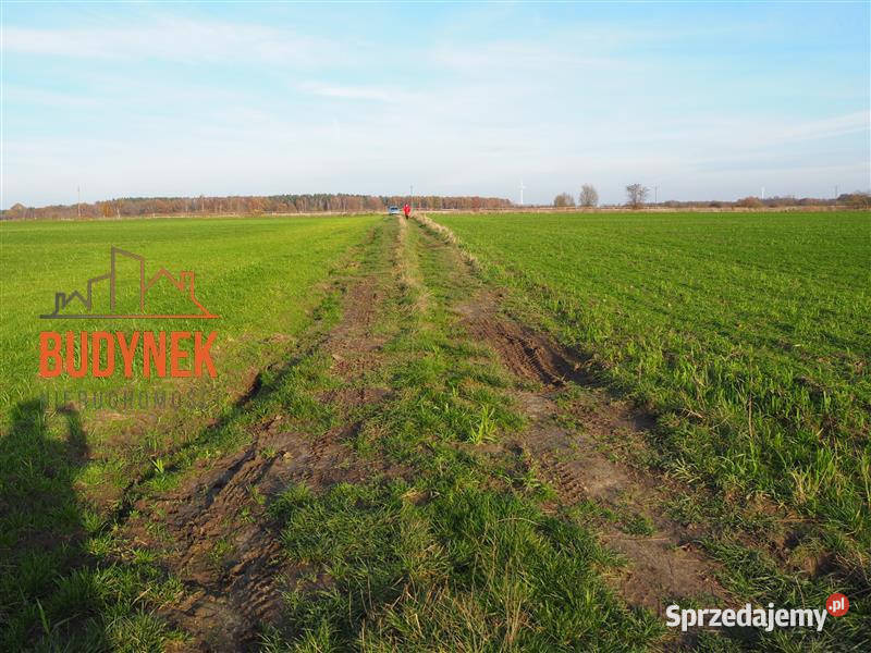 Działka rolna Krupy zachodniopomorskie