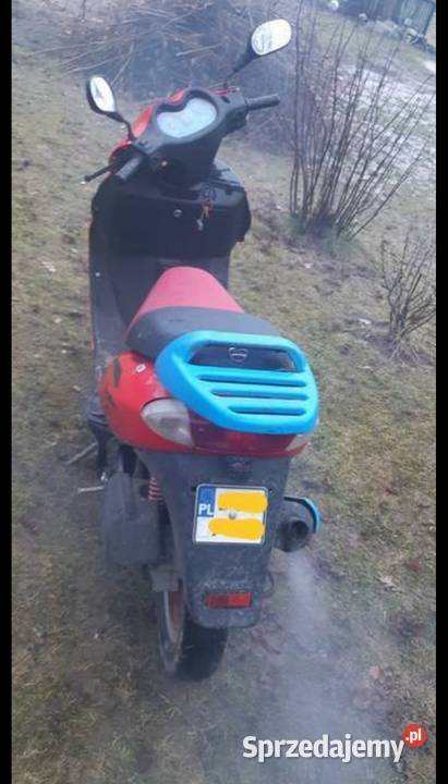 Zipp quantum pas napędowy Henrykowo
